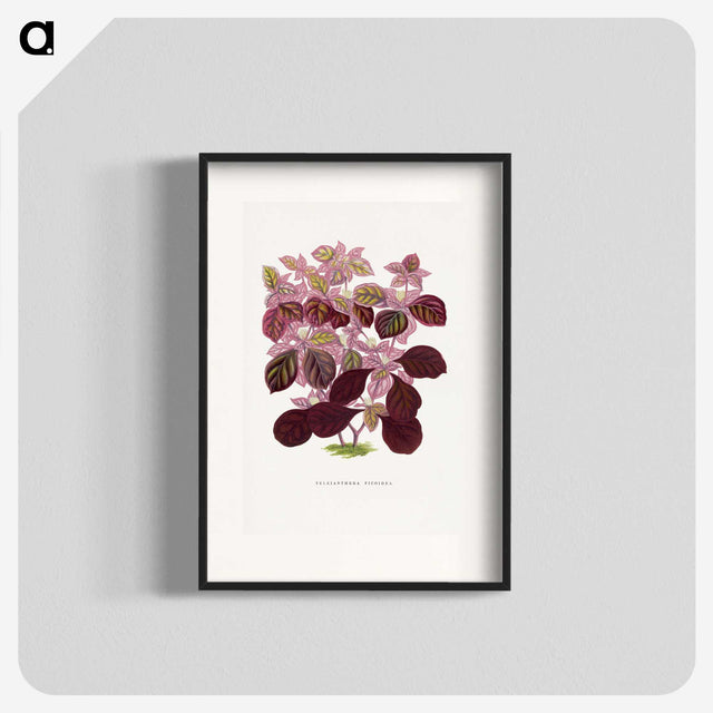 1-32_Plants-with-Colored-Foliage_blk