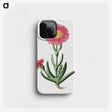 1-32_Robert-Jacob-Gordon_phone