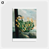 アートポストカード-The Aloe from The Temple of Flora
 - ロバート ジョン ソーントン Postcard.