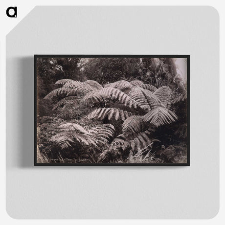 1-32_The-Burton-Brothers_blk-crop