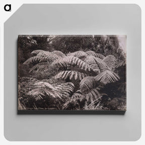 1-32_The-Burton-Brothers_canvas