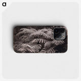 1-32_The-Burton-Brothers_phone