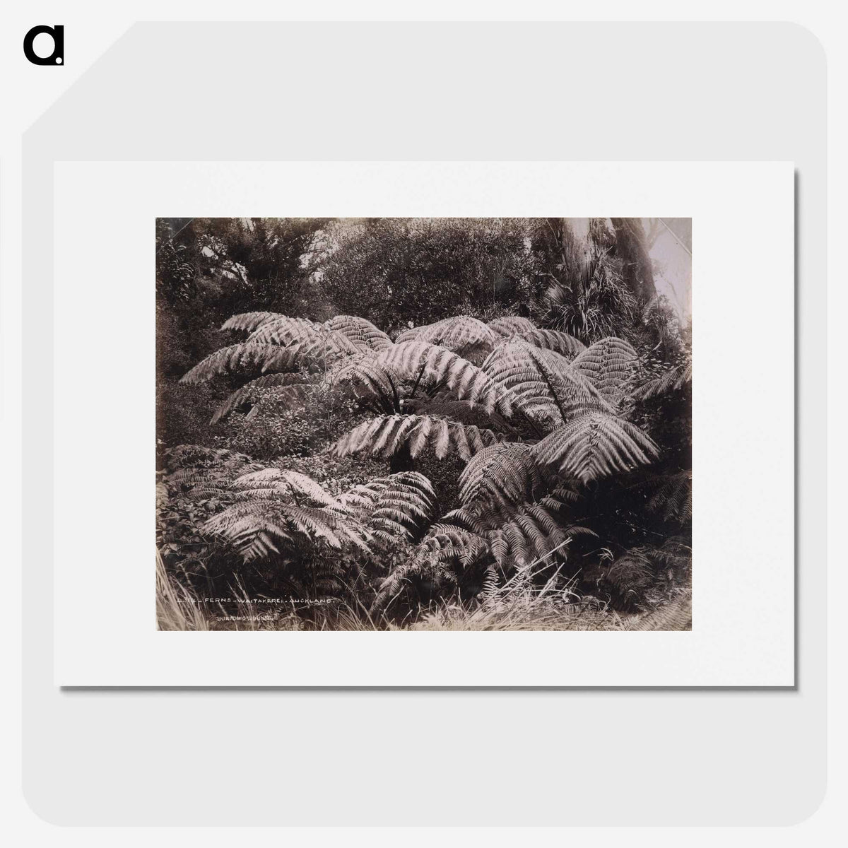 1-32_The-Burton-Brothers_picture