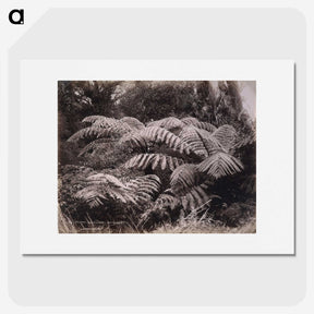 1-32_The-Burton-Brothers_picture