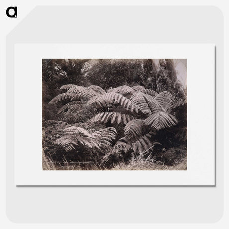 1-32_The-Burton-Brothers_picture