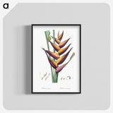 1-32_The-Lilies_blk-crop