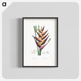 1-32_The-Lilies_blk