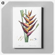 1-32_The-Lilies_canvas