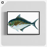 1-32_The-Natural-History-of-British-Fishes_blk-crop