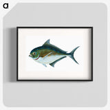 1-32_The-Natural-History-of-British-Fishes_blk
