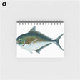 1-32_The-Natural-History-of-British-Fishes_memo