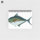 1-32_The-Natural-History-of-British-Fishes_memo