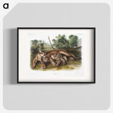 1-32_The-Viviparous-Quadrupeds_blk