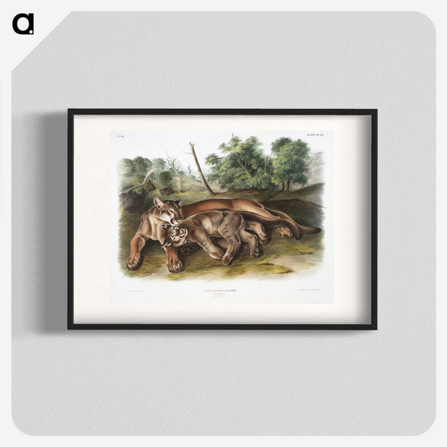 1-32_The-Viviparous-Quadrupeds_blk