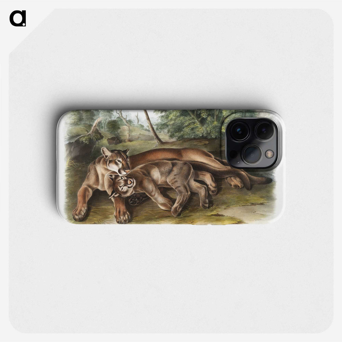 1-32_The-Viviparous-Quadrupeds_phone
