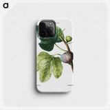 1-32_Treatise-on-Trees-and-Shrubs_phone