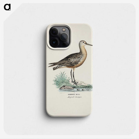 1-32_Wilhelm-von-Wright_phone