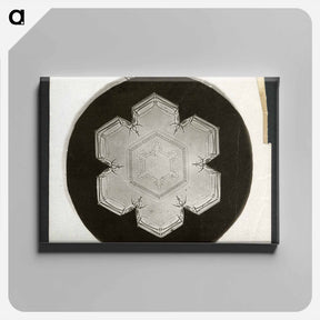 アートパネル-Wilson Bentley Photomicrograph of Stellar Snowflake No. 826 - ウィルソン ベントレー Canvas.