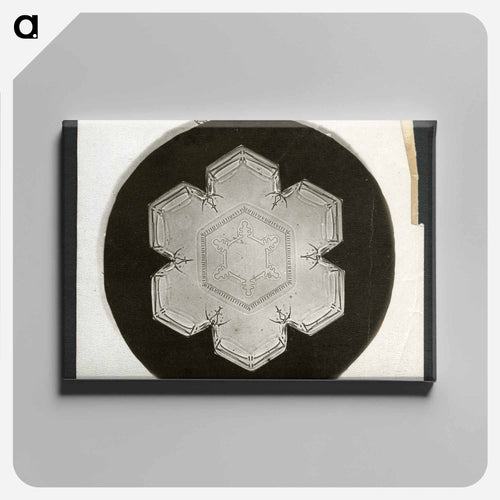 Wilson Bentley Photomicrograph of Stellar Snowflake No. 826 - ウィルソン ベントレー Canvas.