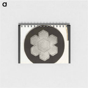 アートメモ帳-Wilson Bentley Photomicrograph of Stellar Snowflake No. 826 - ウィルソン ベントレー Memo.