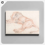 アートパネル-Study of a Lion, Resting
 - イェール大学アートギャラリー Canvas.