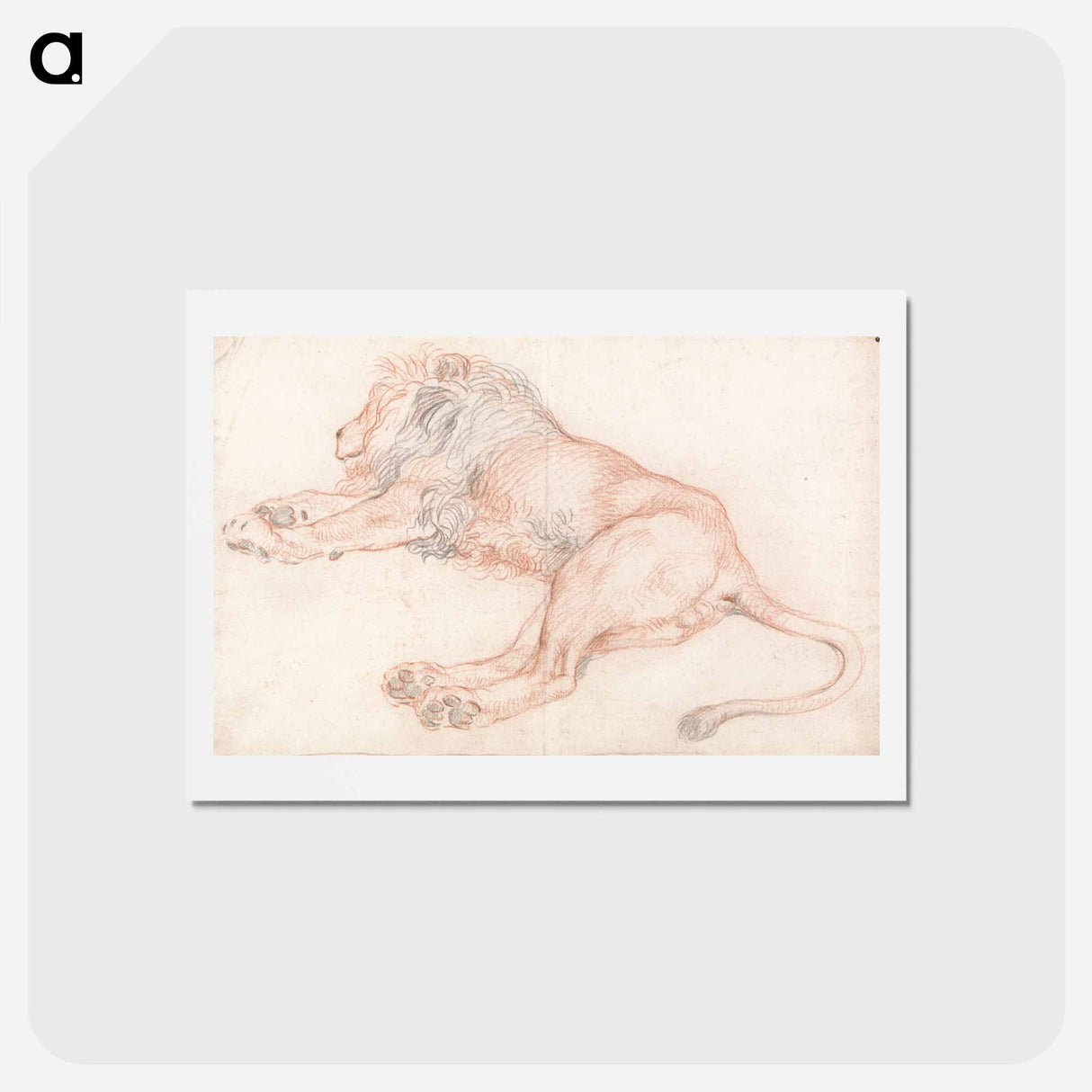 アートポストカード-Study of a Lion, Resting
 - イェール大学アートギャラリー Postcard.