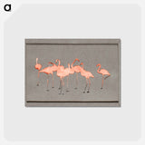 アートポストカード-Flamingoes - アボット ハンダーソン セイヤー Postcard.
