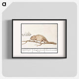 Chameleon - アンセルムス ボエティウス デ ブート Poster.