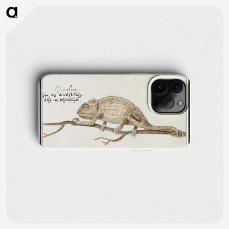 1-33_Anselmus-Boetius-de-Boodt_phone