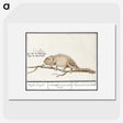 1-33_Anselmus-Boetius-de-Boodt_picture