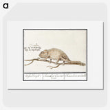 1-33_Anselmus-Boetius-de-Boodt_picture