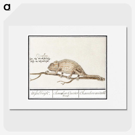 1-33_Anselmus-Boetius-de-Boodt_picture