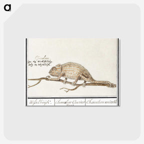 1-33_Anselmus-Boetius-de-Boodt_postcard