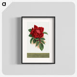 1-33_Botanical-Specimen-Plates_blk