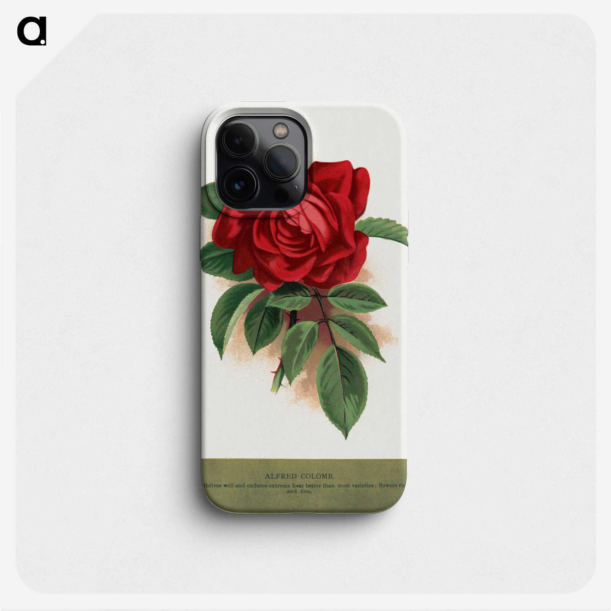 1-33_Botanical-Specimen-Plates_phone