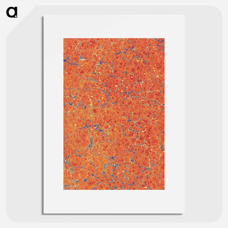 アートポスター-Decorative Paper from Some Account of London
 - 大英図書館 Poster.
