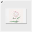 アートポストカード-Sunflower - チャールズ デムス Postcard.