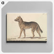 1-33_Charles-Hamilton-Smith_canvas