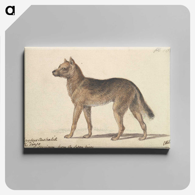 1-33_Charles-Hamilton-Smith_canvas