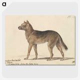 1-33_Charles-Hamilton-Smith_picture-crop