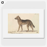 1-33_Charles-Hamilton-Smith_picture