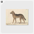 1-33_Charles-Hamilton-Smith_postcard