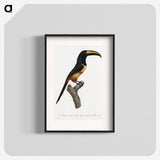 1-33_Des-Oiseaux-de-Paradis_blk