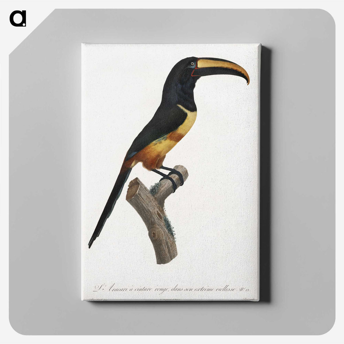 1-33_Des-Oiseaux-de-Paradis_canvas