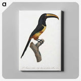 1-33_Des-Oiseaux-de-Paradis_canvas