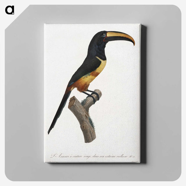 1-33_Des-Oiseaux-de-Paradis_canvas