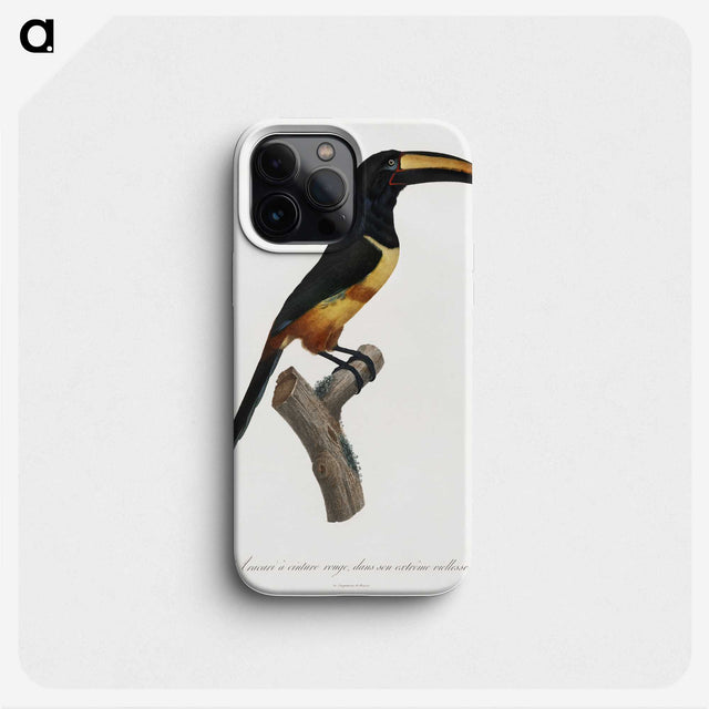 1-33_Des-Oiseaux-de-Paradis_phone