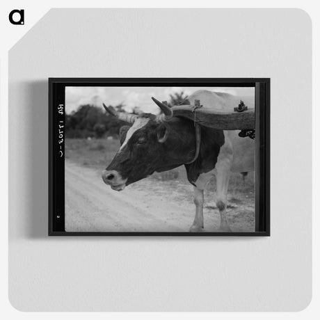 1-33_Dorothea-Lange_blk-crop
