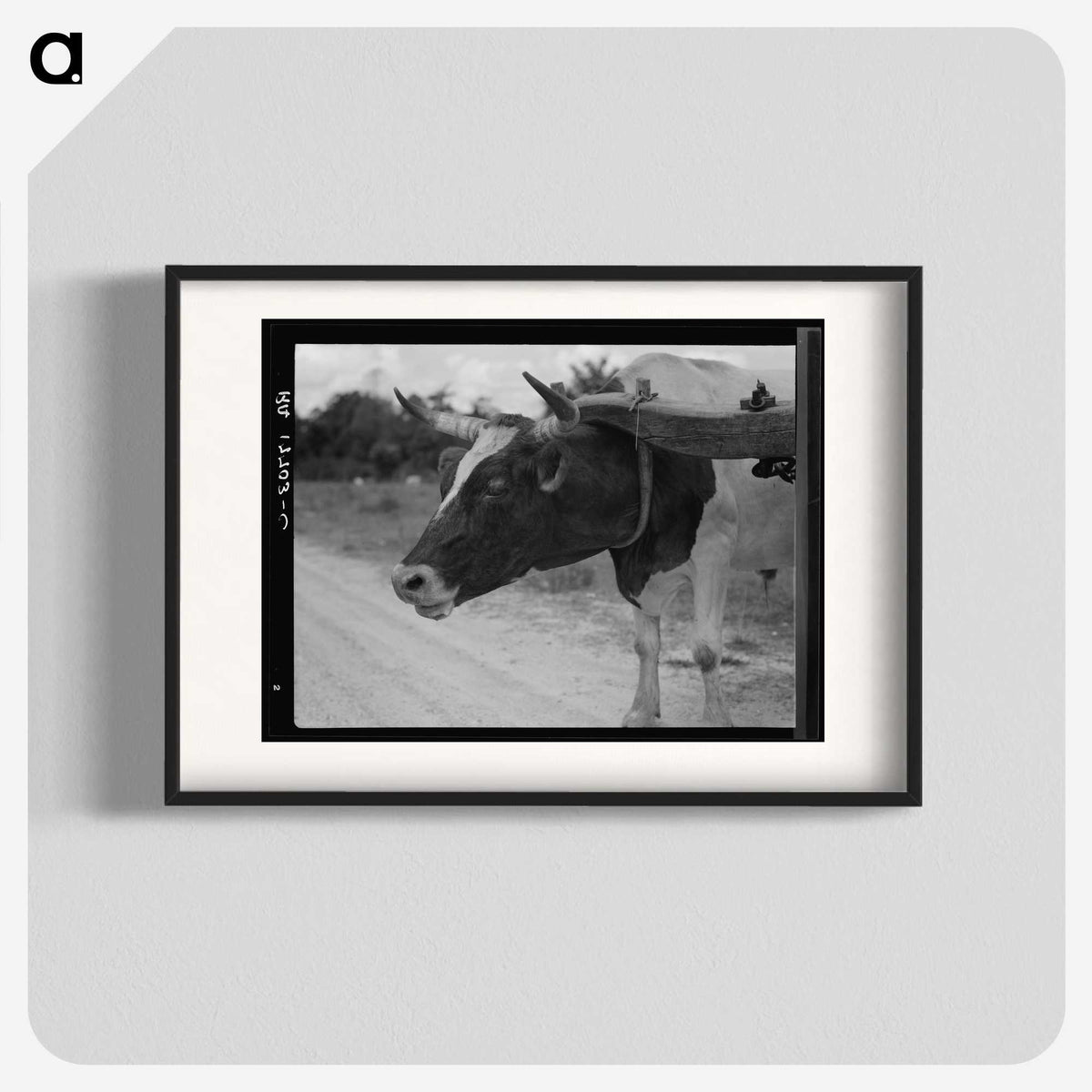 1-33_Dorothea-Lange_blk