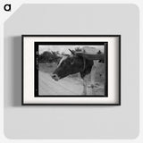 1-33_Dorothea-Lange_blk